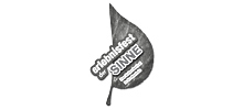 Logo von Fest der Sinne | MUBVideodesign-Partner 